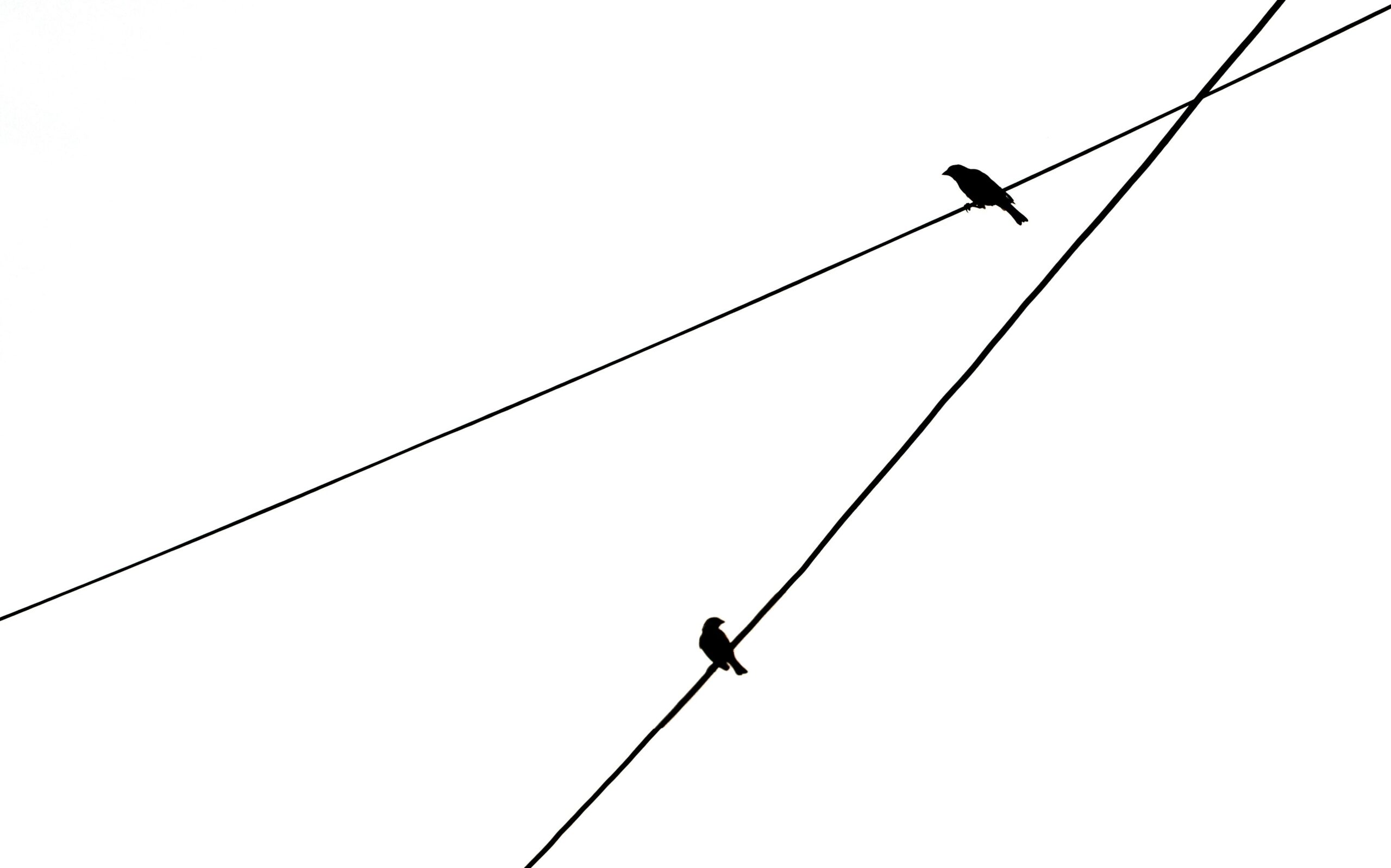 Bar graph comparing interest-only vs principal payment outcomes
