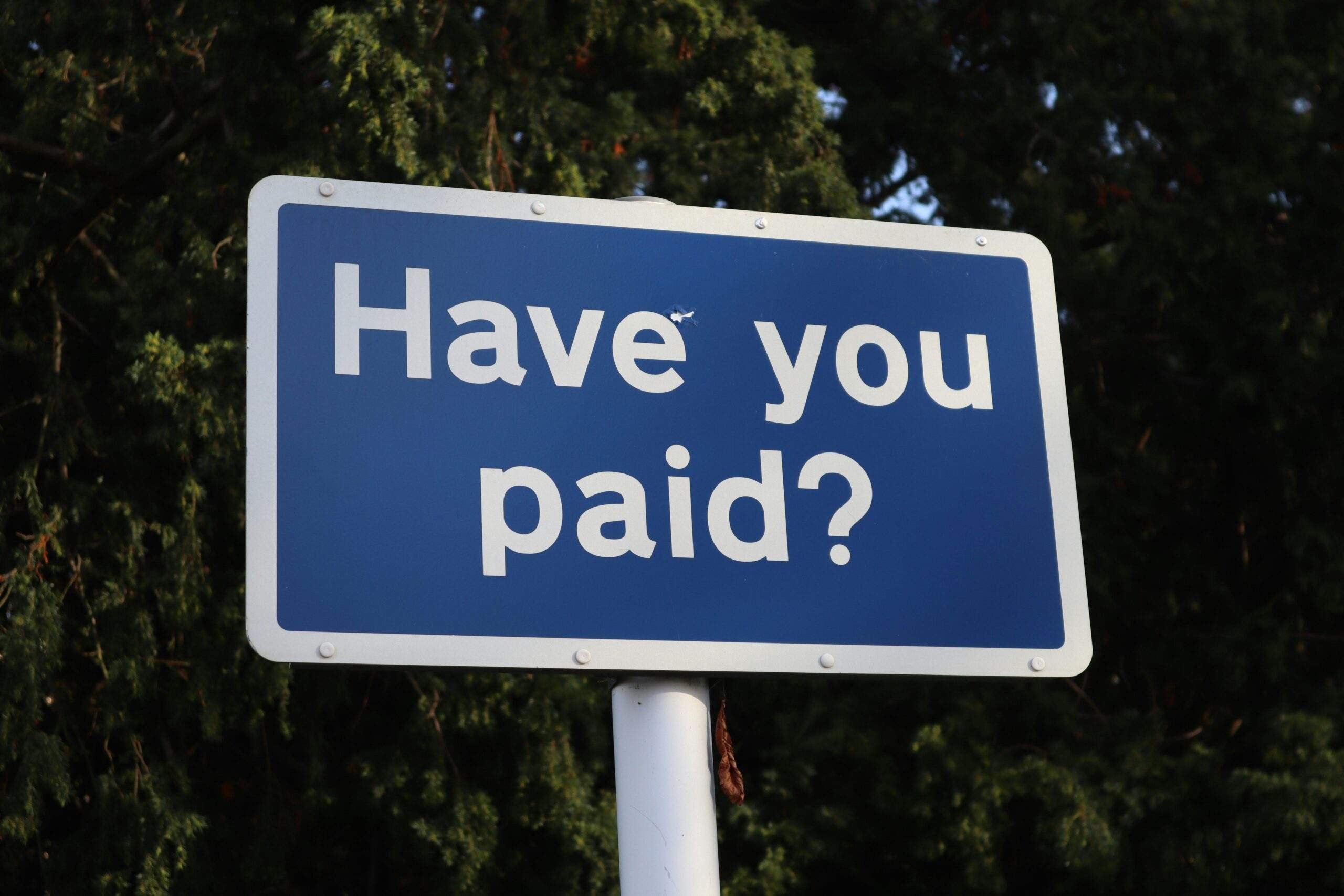 Payment FAQs: Everything You Need to Know About Loan Deferment, Credit Cards, and Insurance