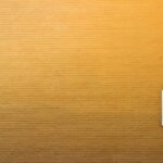 How to Master Your Payment Relief Plan: The Ultimate Guide to Loan Deferment